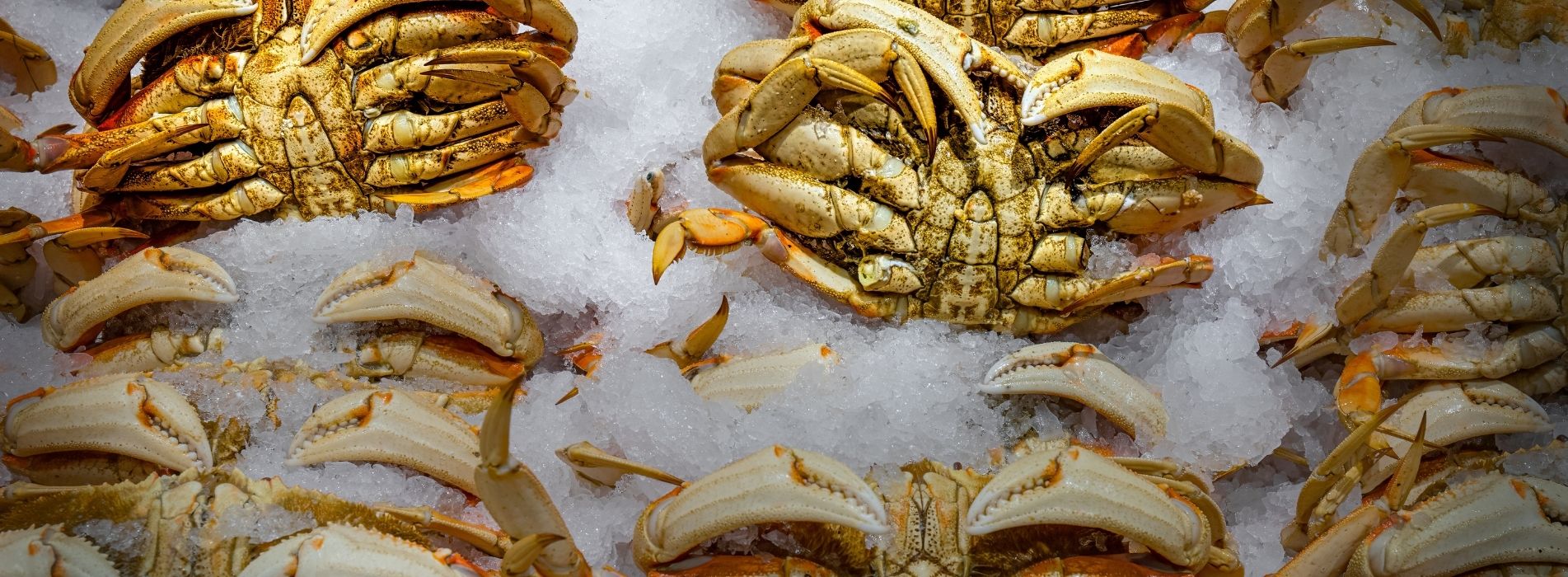 How To Safely Thaw and Prepare Frozen Crab