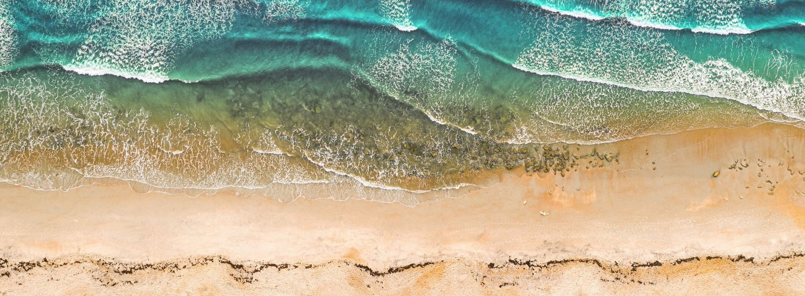 When Does the Stone Crab Season in Florida Start?