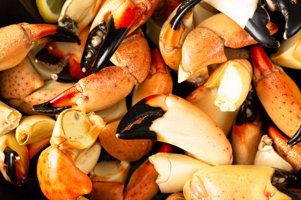 Here at Patas Stone Crab we offer only the best. Fresh, delicious, mouth-watering Florida caught stone crab delivered to your front door anywhere in the U.S and select countries! Order online now!