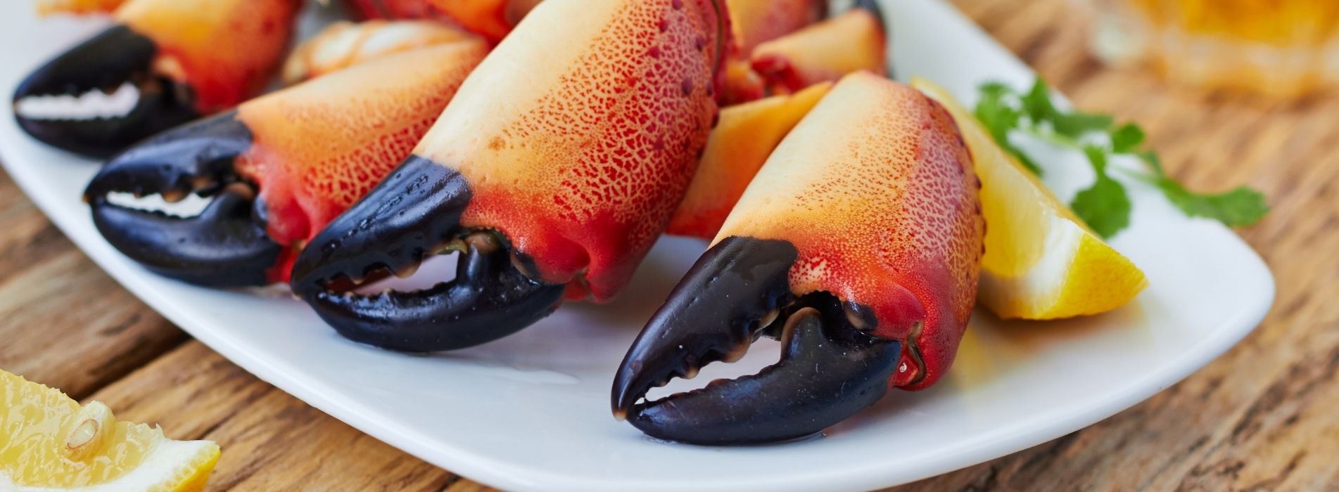 What To Do When You Crave Stone Crab in the Off-Season