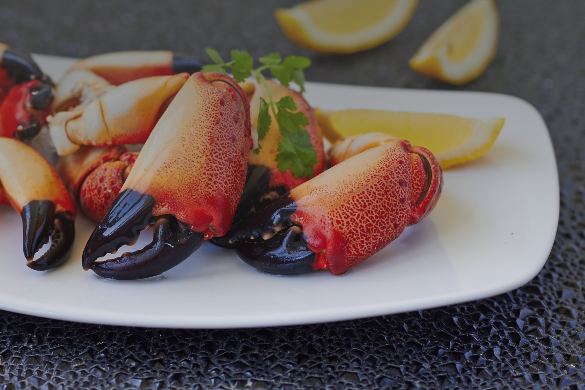 How can you tell if your Florida stone crabs are fresh? Buy from Patas fresh stone crabs delivered to your door anywhere in the US and select international locations