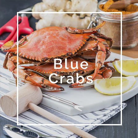 Find Stone Crabs Near You & Buy Online | Best Crab Legs for Sale in TX