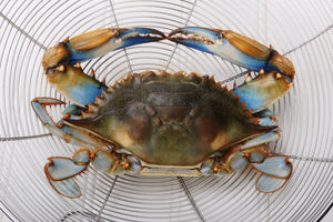Blue Crabs (X Pound)