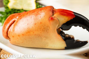 Florida Stone Crabs By The Claw for Sale